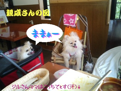 みかんはんどす2