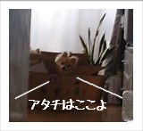 何でアタチの写真ちっちやいのよ!