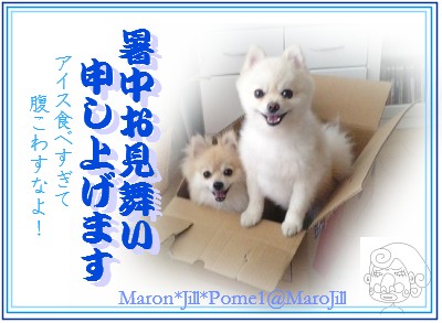 暑中お見舞い申し上げます07