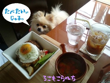 みかんはんどす7