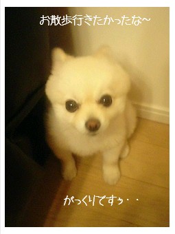 ウルウル・・