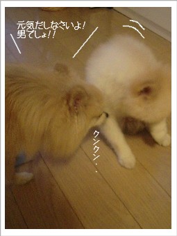元気出してちょーだいよ!