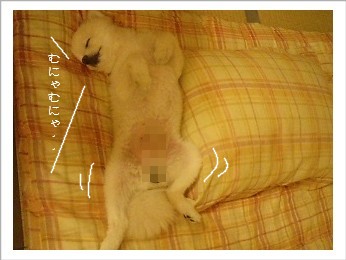 無防備なメンズです