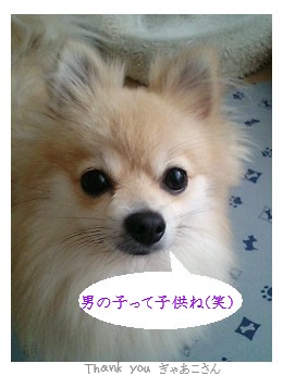 ぎゃあこさんありがとう♪