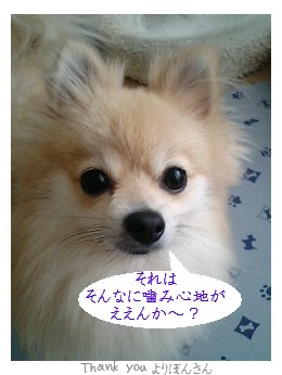 よりぽんさんありがとう♪