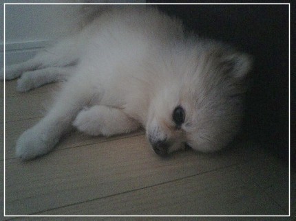 うだうだ・・・うだうだ・・・