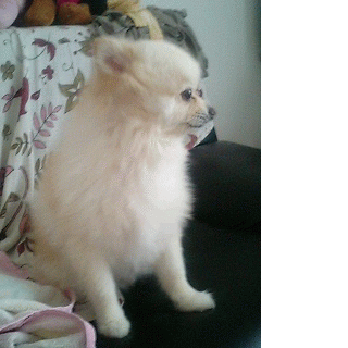 すっきりさわやか♪