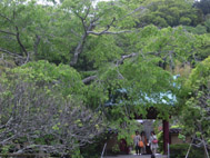 光速寺
