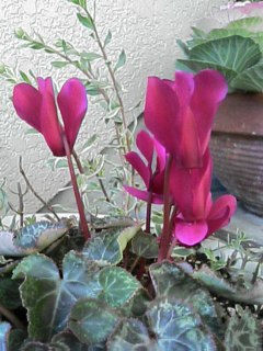 2008-01-24 19:48:09
