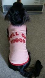 チャッピー ３３０