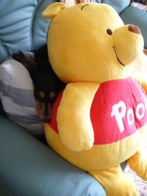 チャッピー １０１