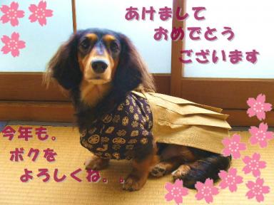 チャッピー ２０９