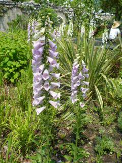 シーズンズ １０