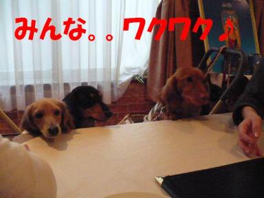 コピー ～ P1000281.JPG