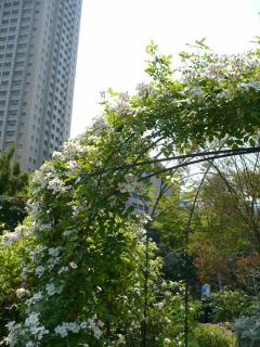 シーズンズ １４