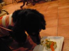 コピー ～ P1000288.JPG