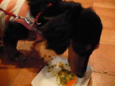 コピー ～ P1000289.JPG