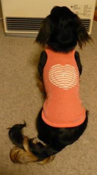 チャッピー ３１８ （ハートタンク・後）