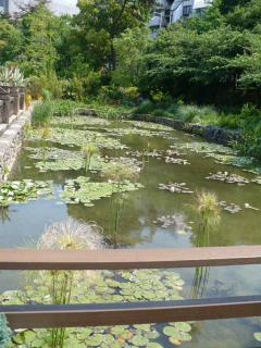 シーズンズ １６