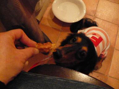 コピー ～ P1000290.JPG