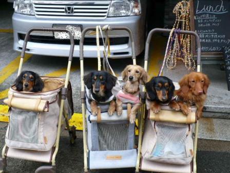 コピー ～ P1000309.JPG