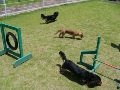 裸族（笑）－１