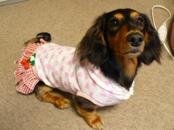 チャッピー ３２３ （さくらんぼワンピ）