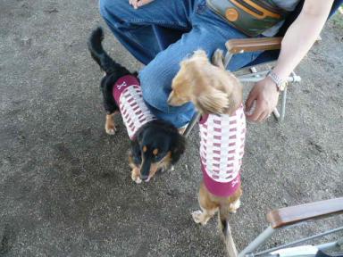 れもん＆チョコちゃん