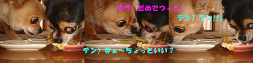 DSC05814.JPG