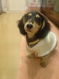 りんご＝りんちゃん