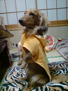 またもやタッチしています