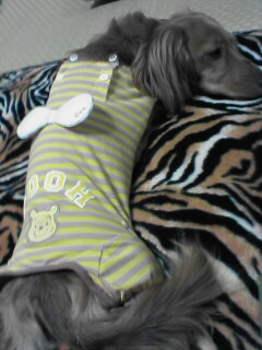 プーさんのつなぎ着て