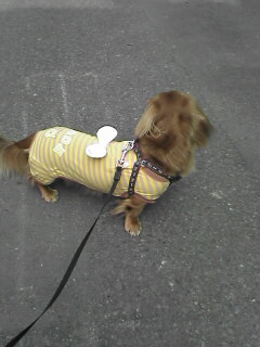 工事のおじさんが気になります