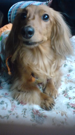 UPに耐えられるかしら