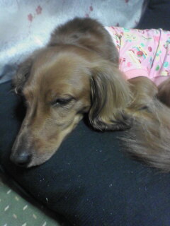 ああ、ねむいなぁ