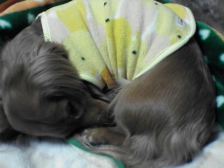 足が鼻の近くに