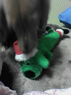 噛み噛みキュン