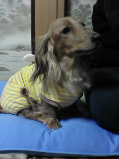 ちょっと、いいから