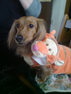 椅子に乗ってキョロキョロ