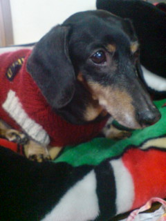 ゴール起きています