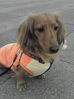 埼玉スタジアム