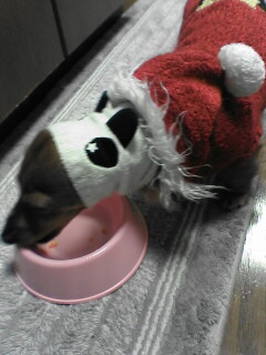 もう終わっちゃったぁ～