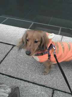 埼玉スタジアム5