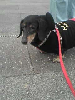 埼玉スタジアムでゴール