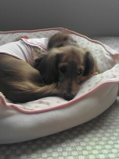 待ちくたびれて