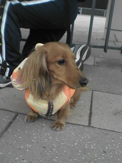 埼玉スタジアム4