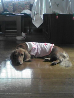 つまらないなぁ