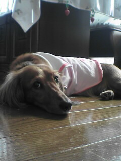 名前を読んでも目だけが