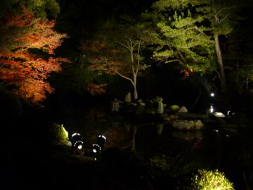 知恩院1