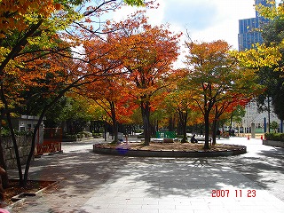 東遊園地